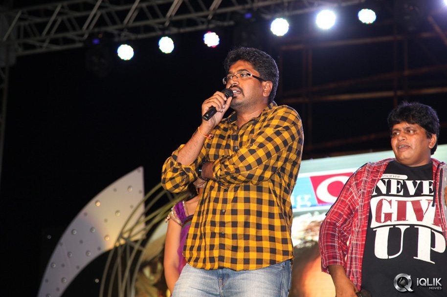 Loukyam-Movie-Audio-Success-Function